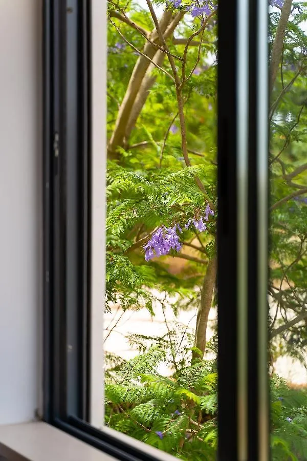 Appartement Alvorférias Premium